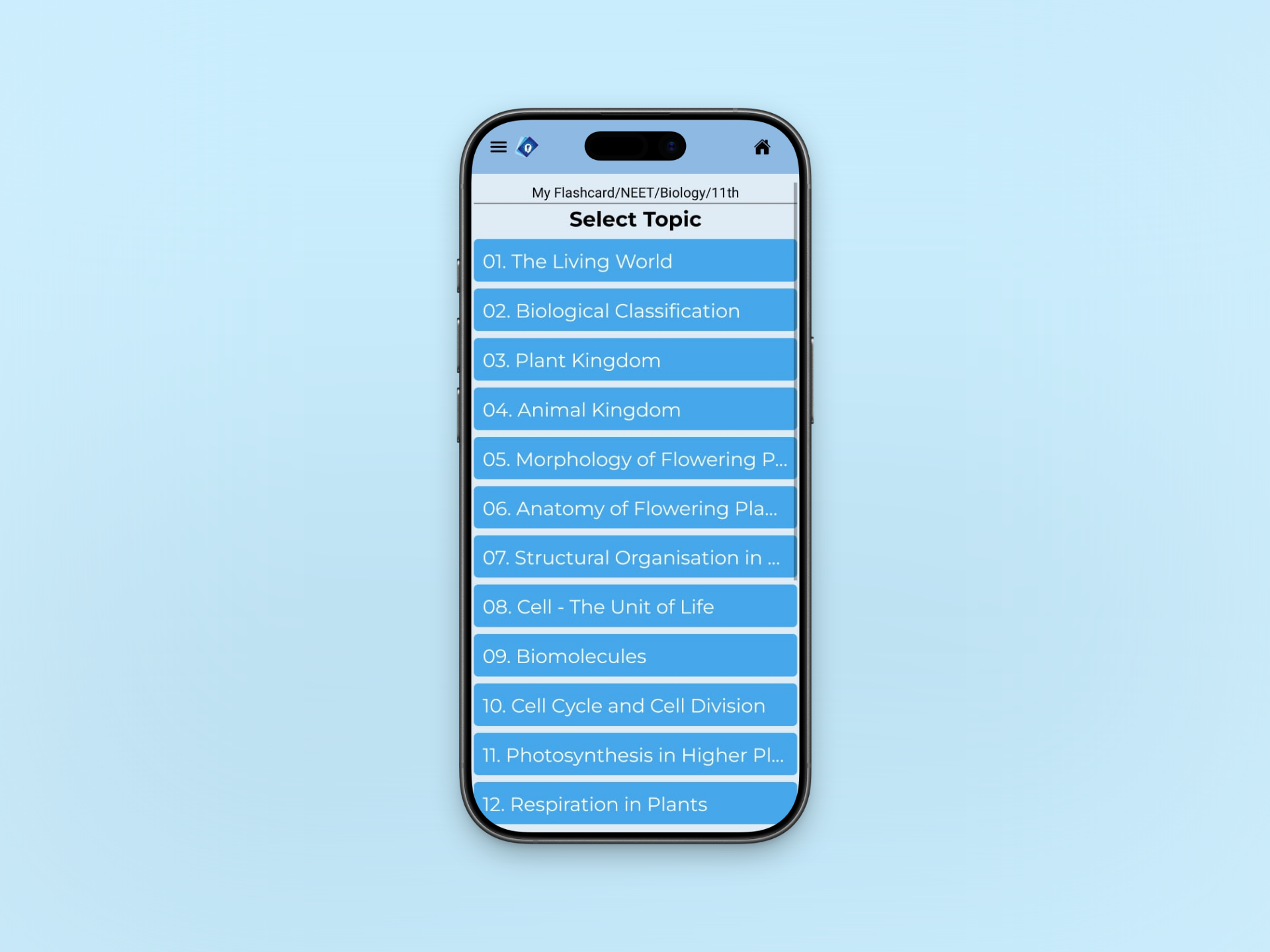 Students studying with flashcards